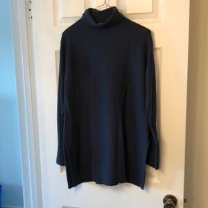 Anne Taylor Loft Sweater